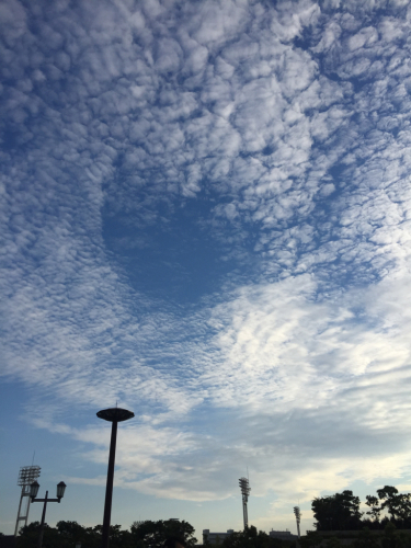f0214139_01051255.jpg