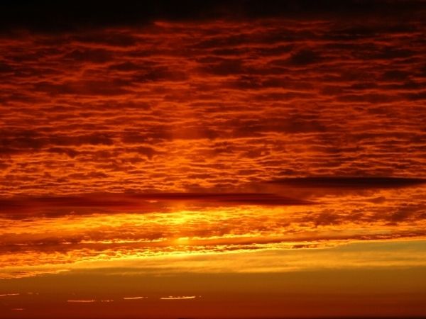 a0289641_02090605.jpg