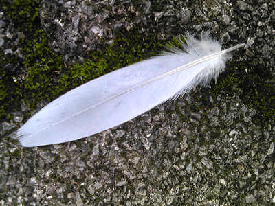 d0039443_1454124.jpg