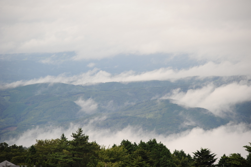 b0067346_17014666.jpg