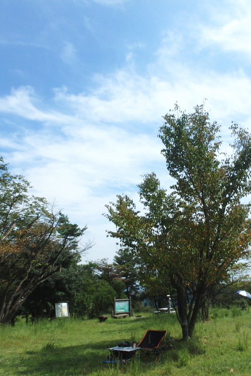c0339546_19441960.jpg