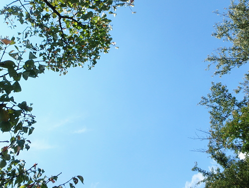 c0339546_201167.jpg