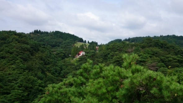 b0148050_1953589.jpg