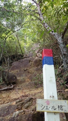 b0148050_20111042.jpg