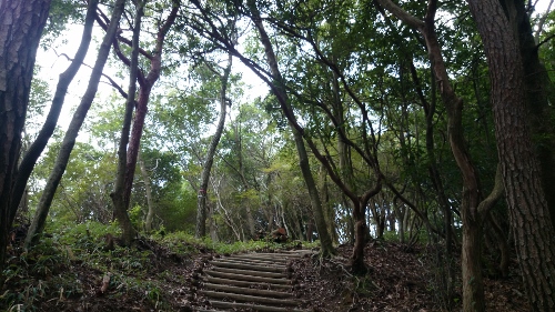 b0148050_2051813.jpg