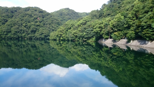 b0148050_2081443.jpg
