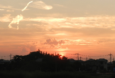 e0172950_2024841.jpg
