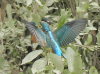 e0172950_202531.jpg