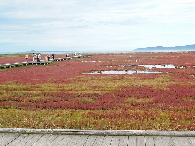 e0004756_2217910.jpg