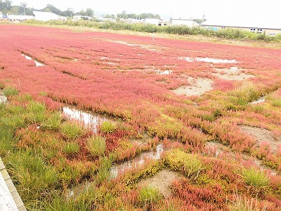 e0004756_2218917.jpg