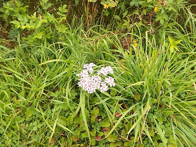 e0004756_226350.jpg