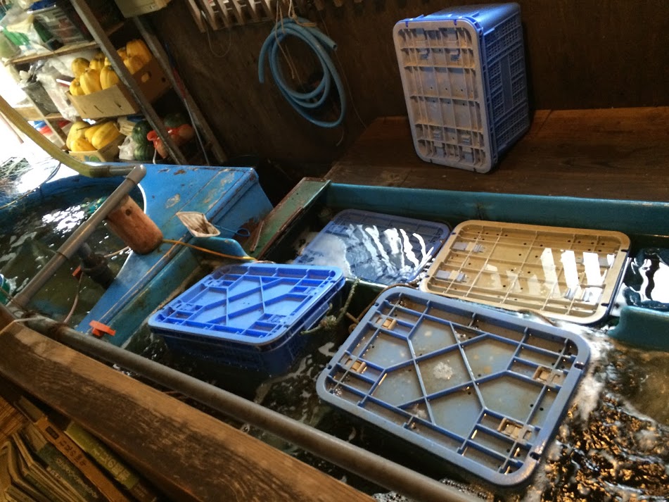 c0105957_16144115.jpg