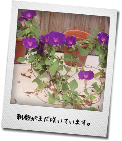 d0098363_3314637.png