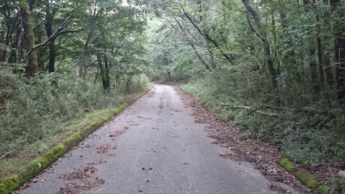f0139466_936414.jpg
