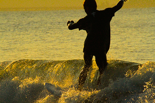 a0157069_222583.jpg