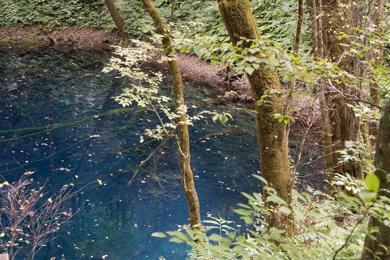 a0042970_19482720.jpg