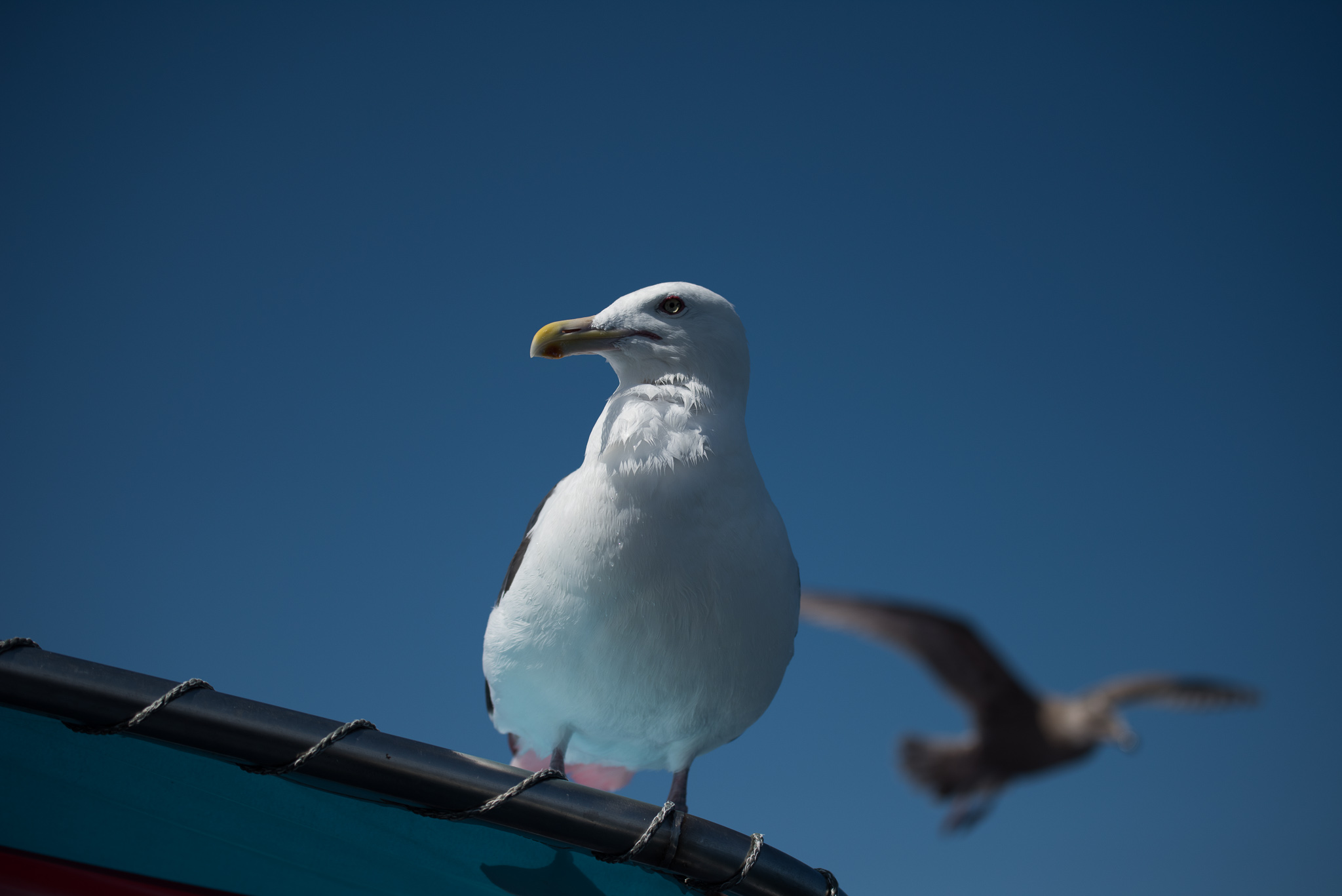 a0042970_205634100.jpg