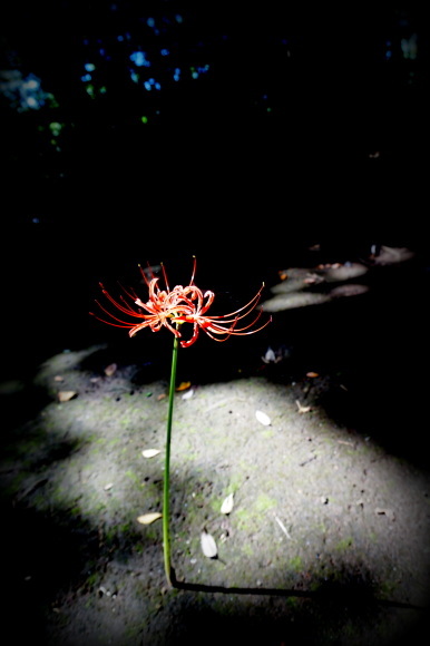 c0257276_13241939.jpg