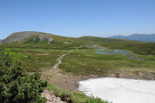 f0130376_16271428.jpg