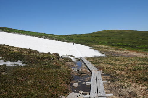 f0130376_16272931.jpg