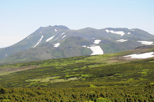 f0130376_16274883.jpg