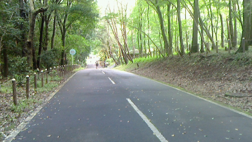f0131183_17465870.jpg