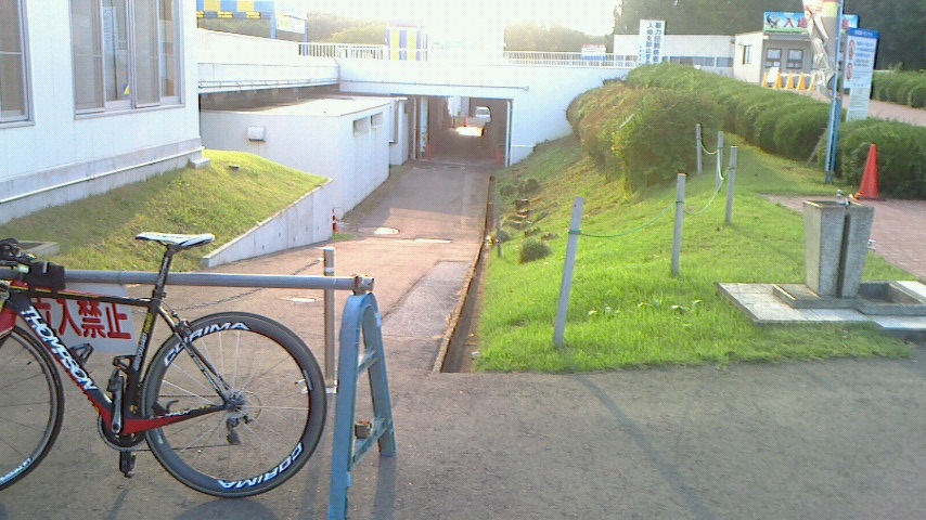 f0131183_17471183.jpg