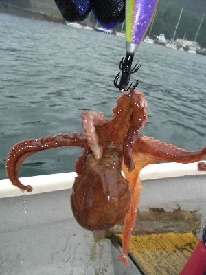c0020984_12253705.jpg