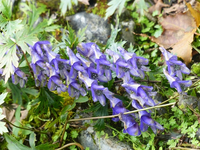 f0357487_1264949.jpg