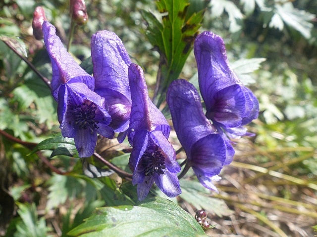 f0357487_1293281.jpg