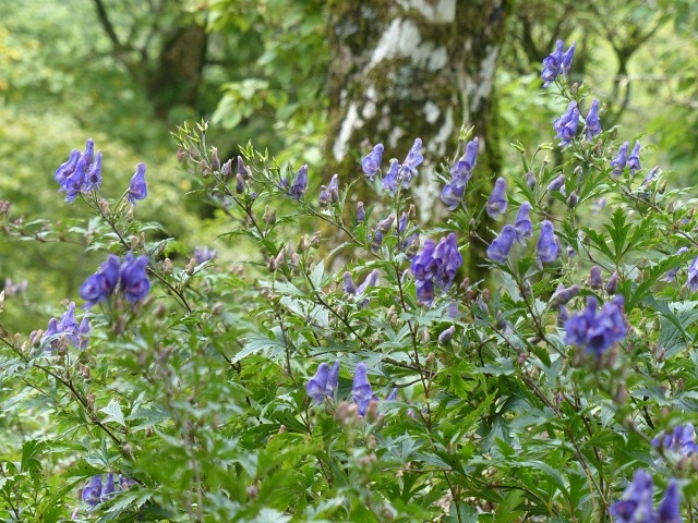 f0357487_1303532.jpg