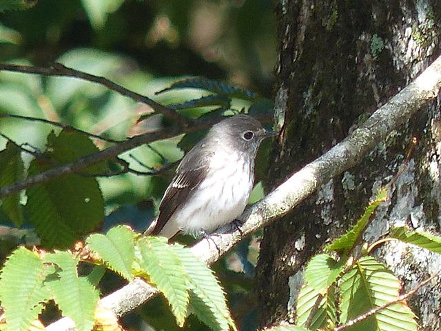 f0357487_213722.jpg