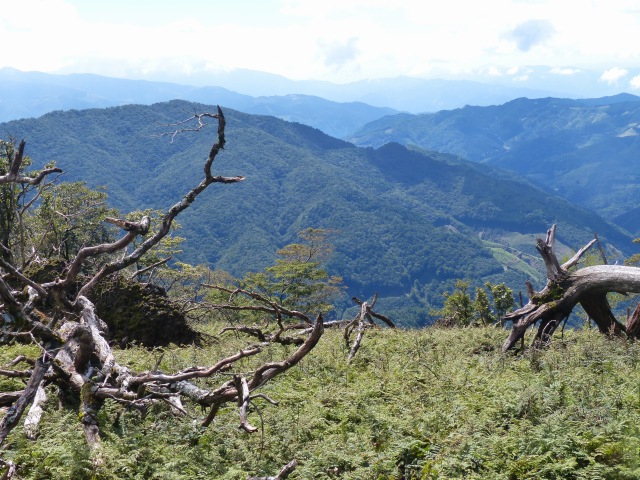 f0357487_21383326.jpg