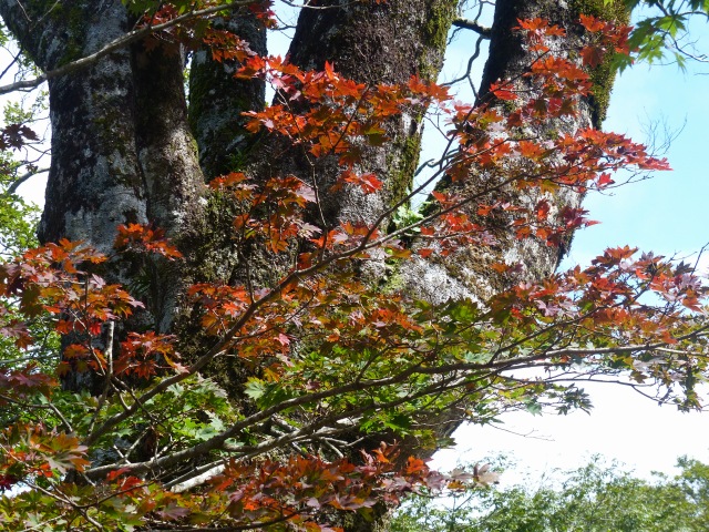 f0357487_21395780.jpg