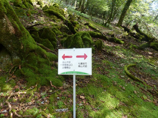 f0357487_21415328.jpg