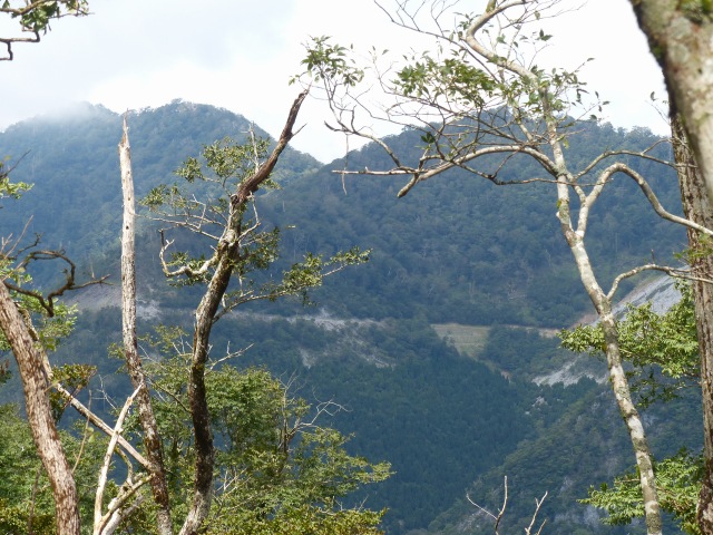 f0357487_21475966.jpg
