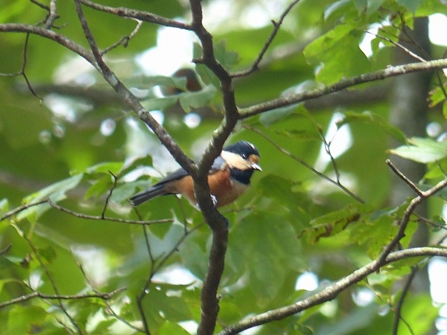 f0357487_21483588.jpg