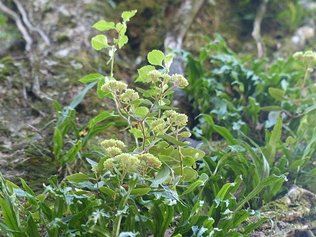 f0357487_21501422.jpg