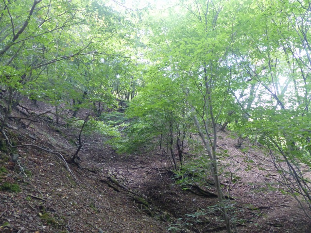 f0357487_21505363.jpg