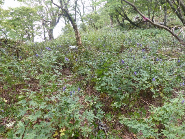f0357487_224856.jpg