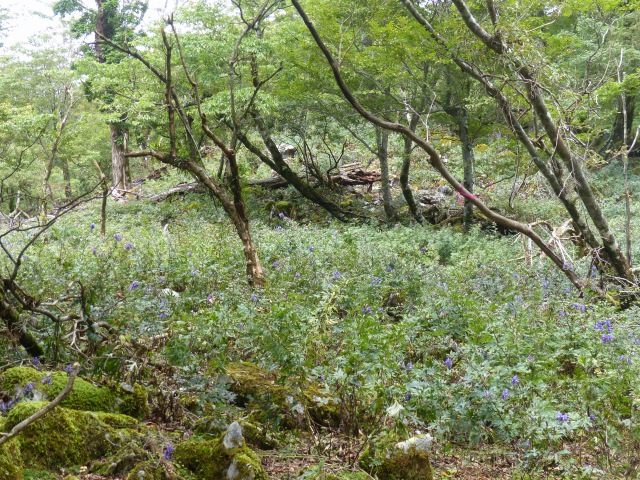f0357487_2264915.jpg