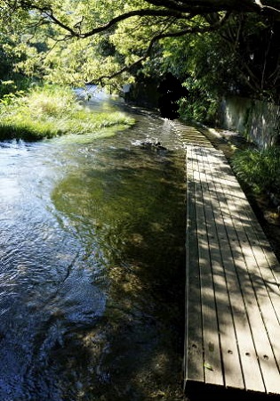 c0122791_745837.jpg
