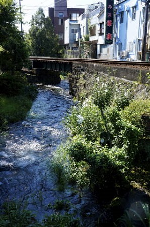 c0122791_7481980.jpg