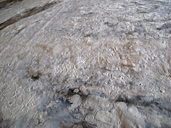 a0199297_17271663.jpg