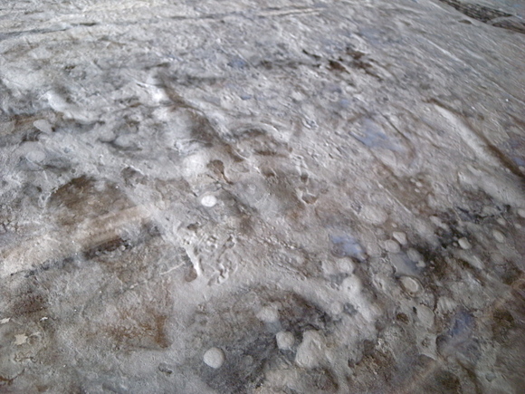 a0199297_17273148.jpg