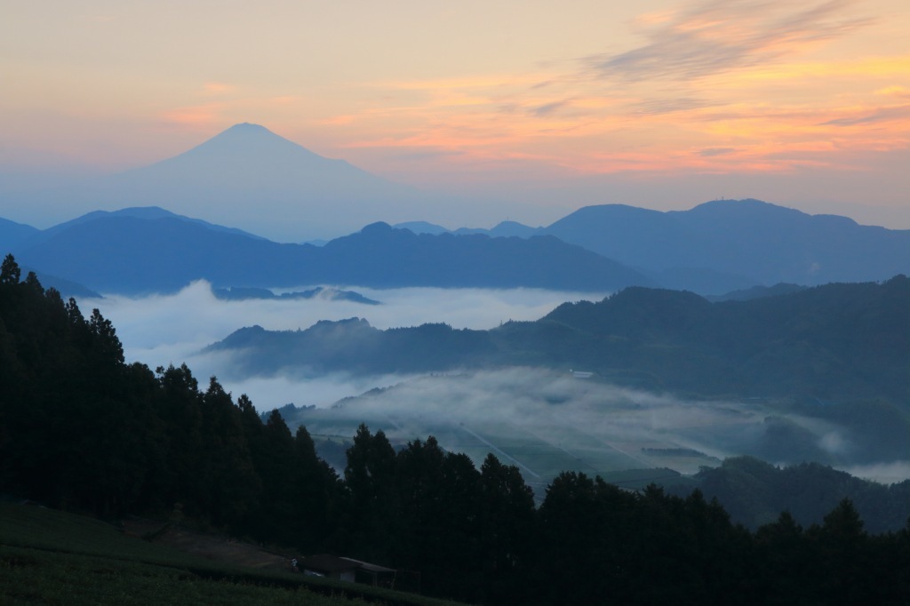 a0188405_21034137.jpg