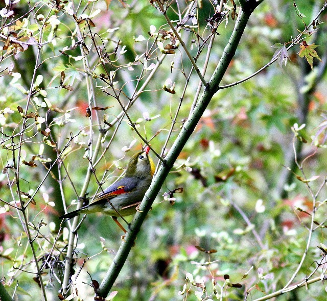 c0213607_23362839.jpg