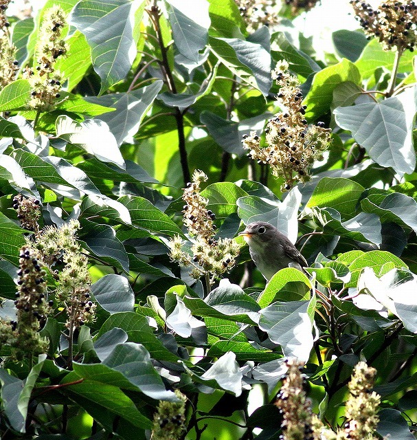 c0213607_23381175.jpg