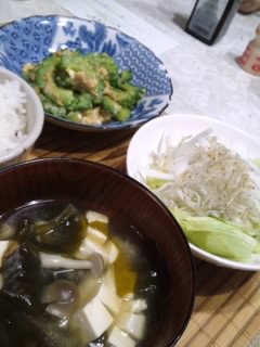 b0085408_20553383.jpg