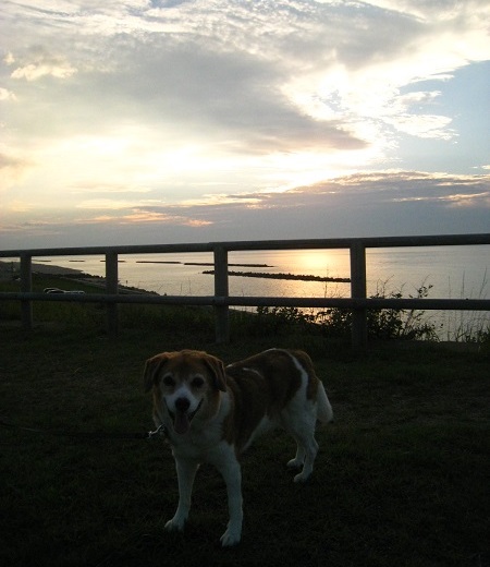 c0084117_2027595.jpg